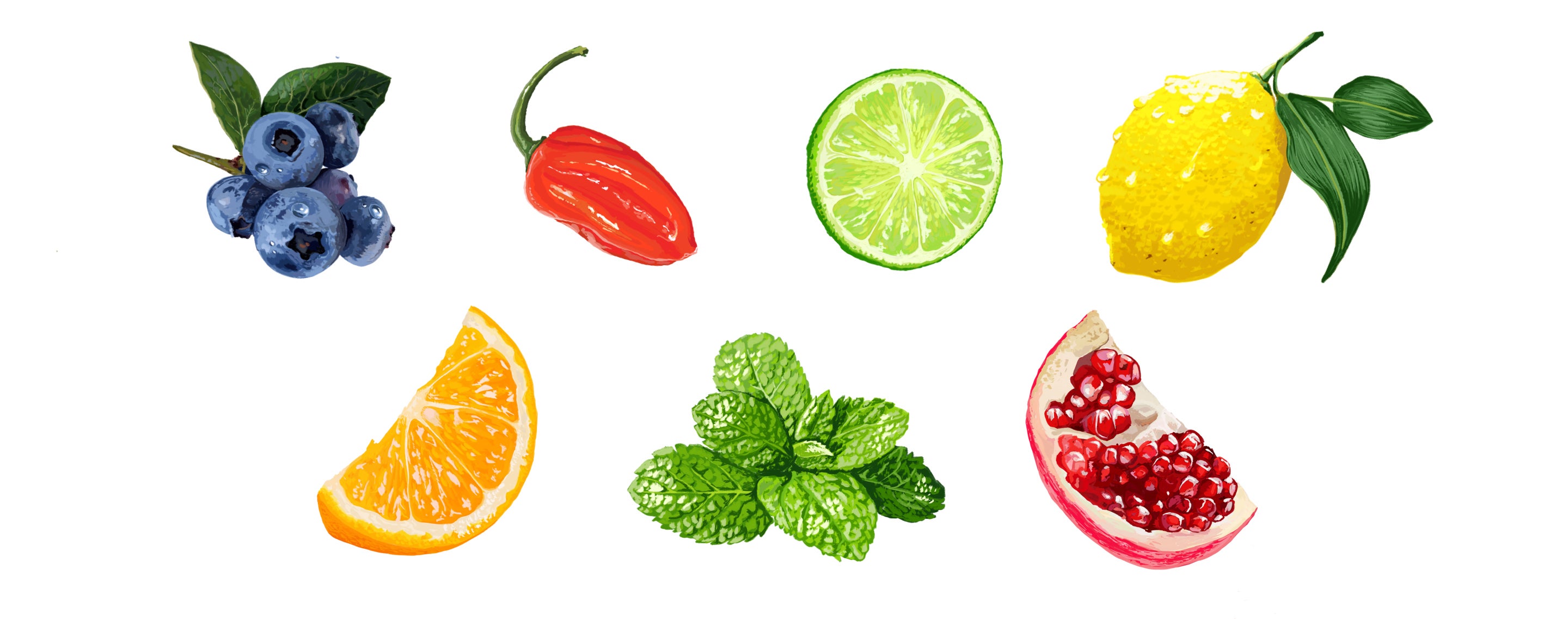 Pope's Fruit Illustration